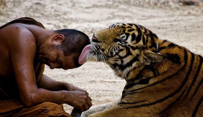 What If Sharing Replaced Marketing?
