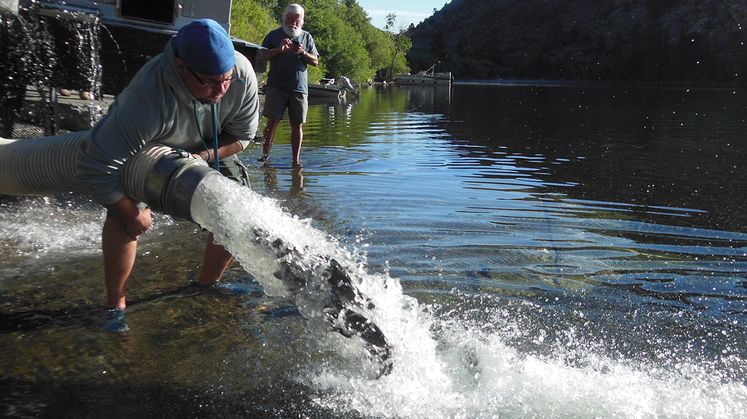 SCE Trout Stocking a Boon to Drought-Impacted Eastern Sierra Businesses