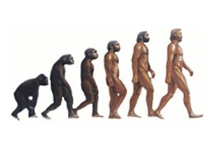 Evolution