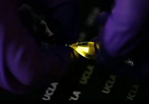 OLED