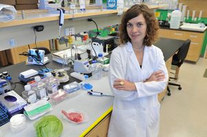 Amy Rowat in her UCLA laboratory