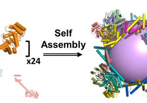 Molecular cage