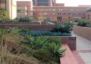 UCLA's Court of Sciences Student Center is flanked by drought-tolerant plants to help the campus save water.