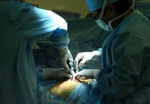 Live brain surgery