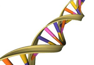DNA