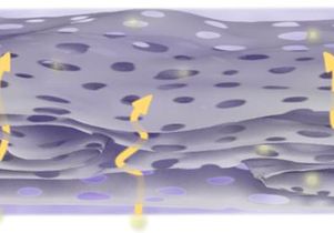 Holey graphene framework