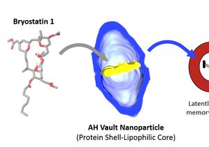 Bryostatin 1 vault delivery