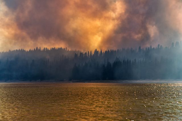 Wildfire at Bass Lake