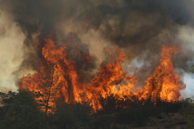 California wildfires California wildfires