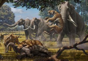 Violent attacks in the Pleistocene Violent attacks in the Pleistocene
