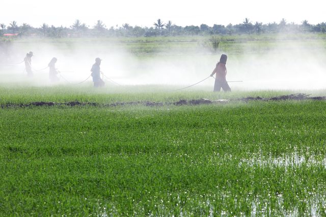 Pesticides in field