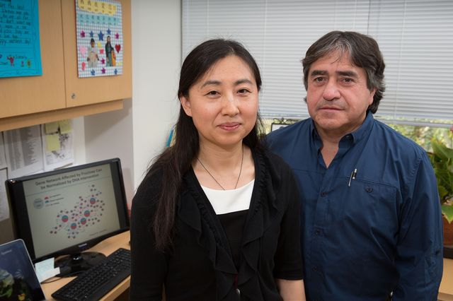 Xia Yang and Fernando Gomez-Pinilla