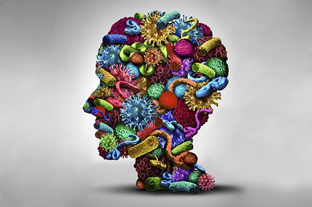Microbes and the brain