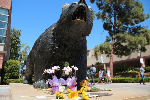 Flowers at Bruin