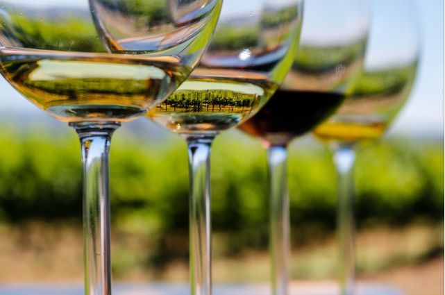 Wine glasses