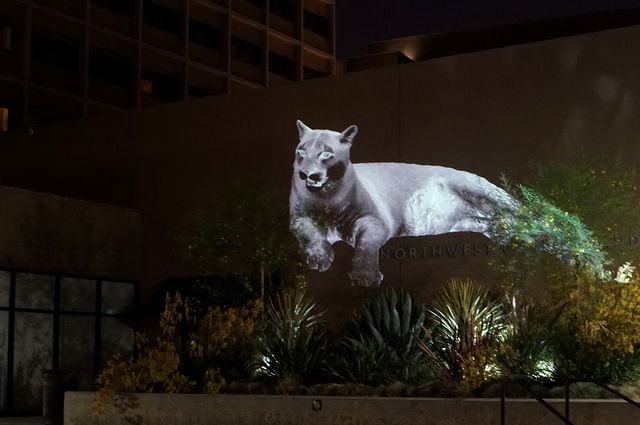 Mountain Lion projection