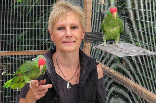 Ursula Heise