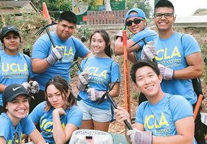 Volunteer Day