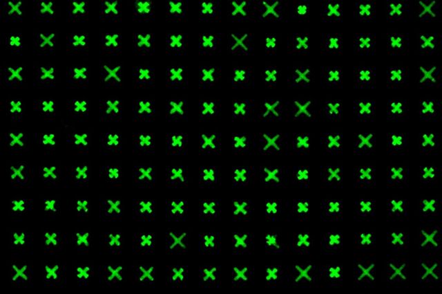 X shapes