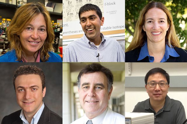 AAAS fellows 2018