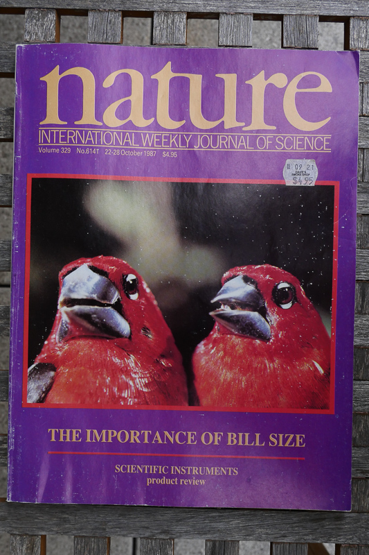 October 1987 cover of Nature, showing different beak sizes in seedcrackers