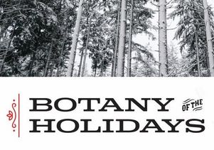 Botany of the holidays