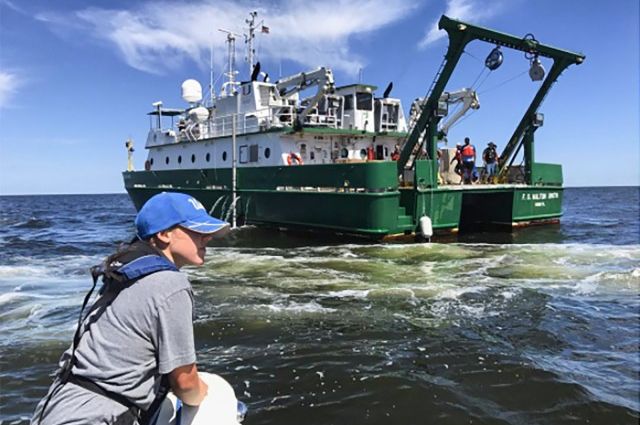 Research in Gulf of Mexico