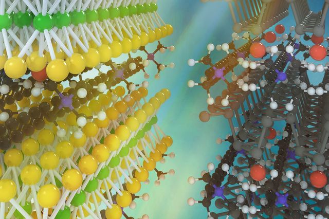 monolayer atomic crystal molecular superlattices
