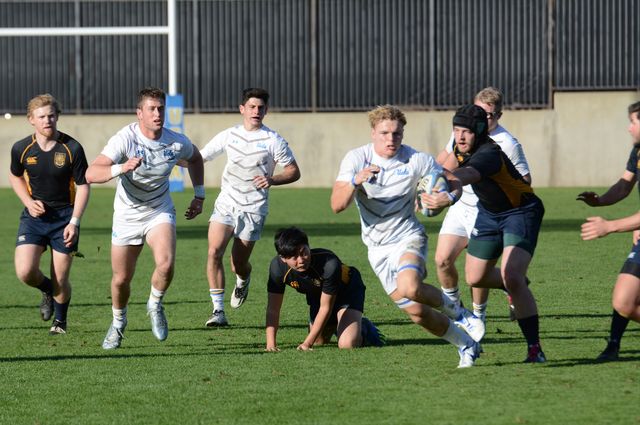 UCLA rugby team