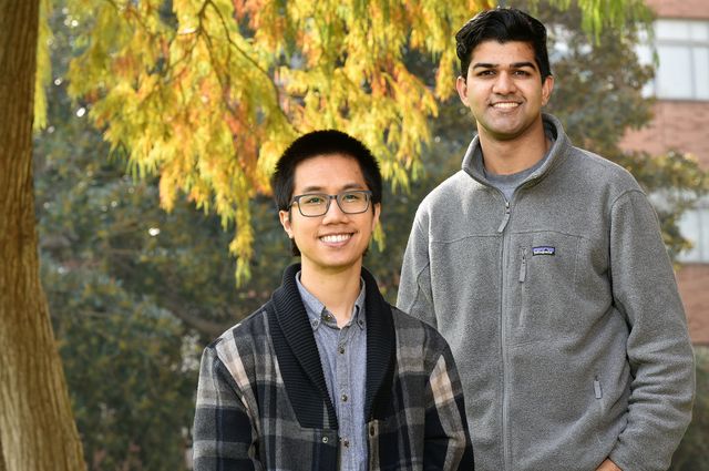 Strauss scholars