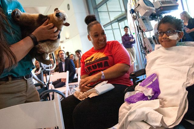 A Kinkajou from the San Diego Zoo at UCLA Mattel Children’s Hospital