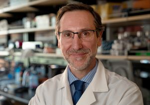 Dr. Antoni Ribas