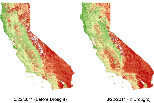 Before and after drought