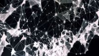 Interdisciplinary Film & Digital Media