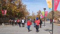 UNM students on Cornell Mall