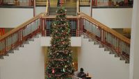 The Giving Tree