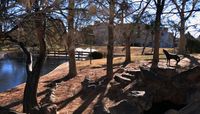 Lobo at the Duck Pond