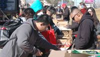 Lobo Food Pantry