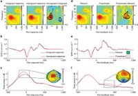 Training phase EEG (FCz electrode) to conflict and feedback, demonstrating a common theta band burst to conflict and punishment.