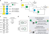 In the training phase (A&B), four different stimuli were associated with different reinforcement probabilities. In a subsequent testing phase (C&D), participants had to choose the ‘most rewarding’ stimulus in a two alternative forced-choice scenarios and the hypothesized effects (E) of the cost of conflict during training on action selection during the testing phase.