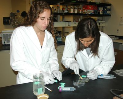UNM undergrad Erin Larragoite (l.) and Assistant Professor Irene Salinas prepare a test sample to study under the microscope.