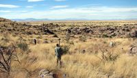 Surveying Site