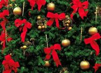 Modern Decorations