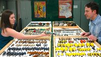 UNM ornithologists