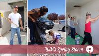 SpringStorm 2014