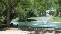 Duck Pond Renovations