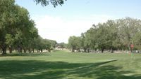 UNM North Golf Course Fairway