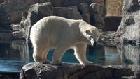 Rio Grande Zoo