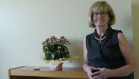 Breda Bova