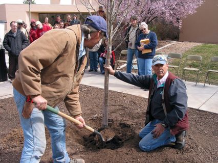 Bryan Suhr, kneeling, helps plant a tree during a recent Arbor Day tree planting ceremony.